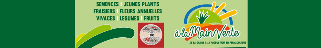 cropped-Logo-site.png