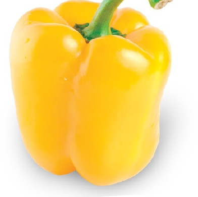 Poivron beluga jaune