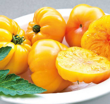 Tomates Margold