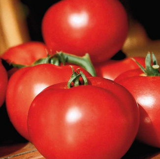 Tomates fantasio greffée