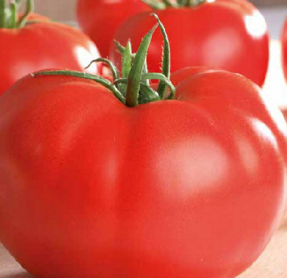 Tomates supersteak
