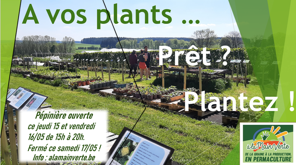 A vos plants2 2025