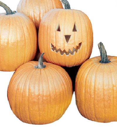 Potiron Jack o Lantern