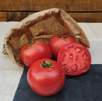 tomates Galadiant