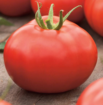 tomates Honey moon