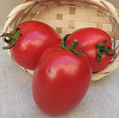 tomates Prosperiant