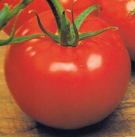 tomates Saint-Pierre
