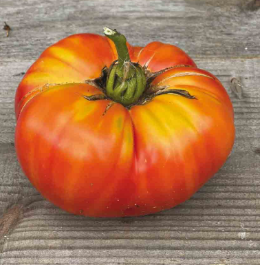 tomates stripped german